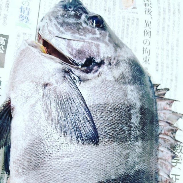 20190513090153300.jpg