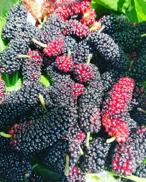 20190517183836751.jpg
